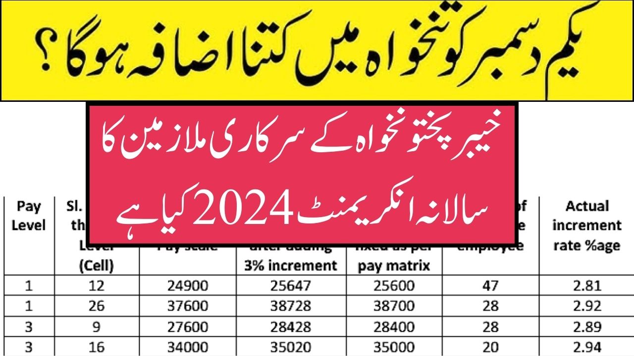 Annual increment chart 2024 KPK Government