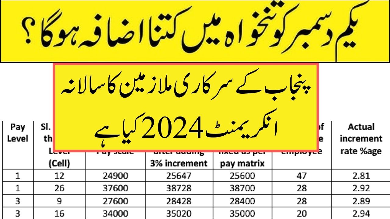 Salary increase chart 2024 25 Punjab Government employees